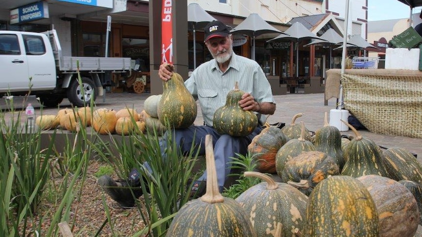 Pumpkin grower Austin Breiner at the Maitland Earth Market