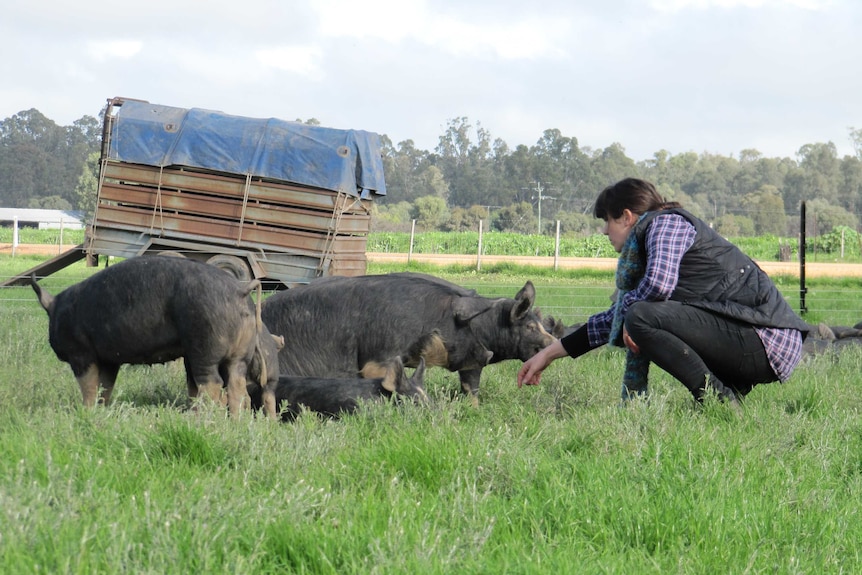 A woman with brown hair, wearing a checked shirt and vest, kneels next to pigs in a paddock