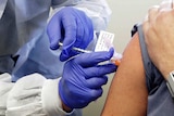 A pair of hands in latex gloves holds a vaccine vial and syringe as it is injected into an arm