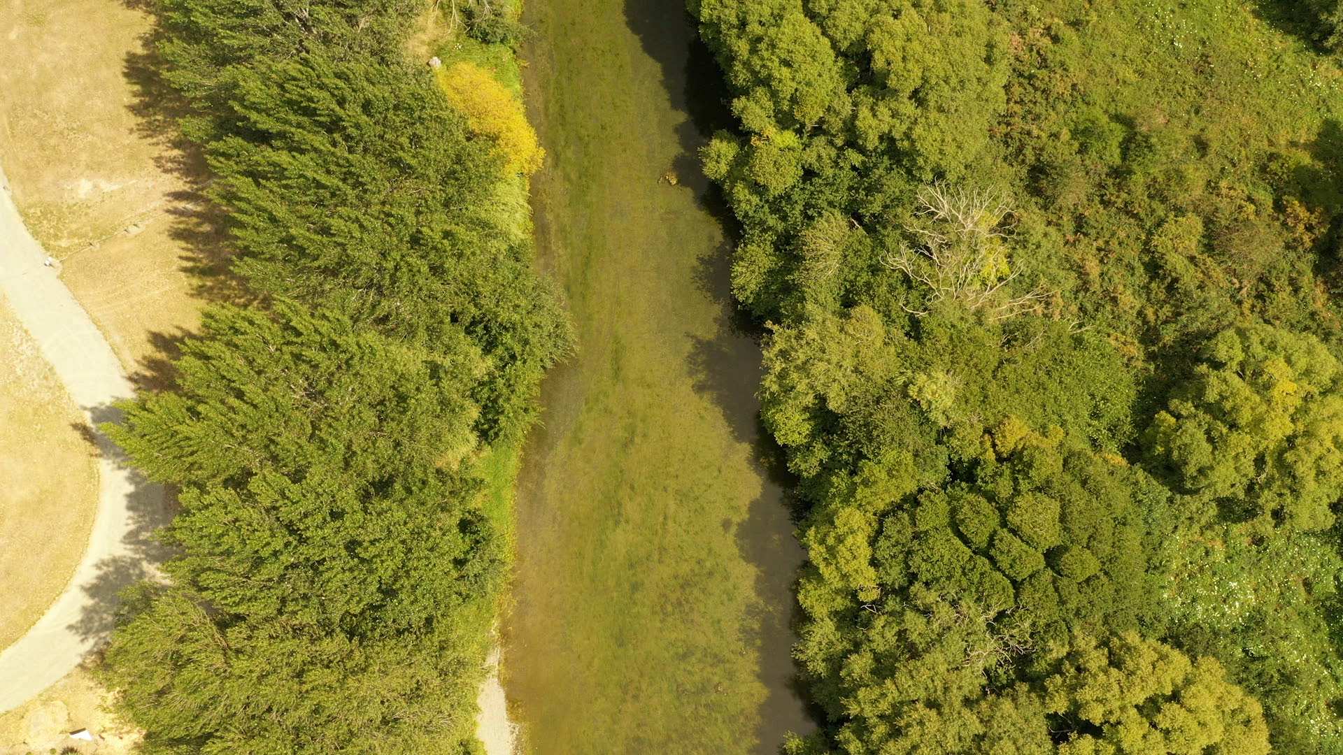 A river in Canterbury.