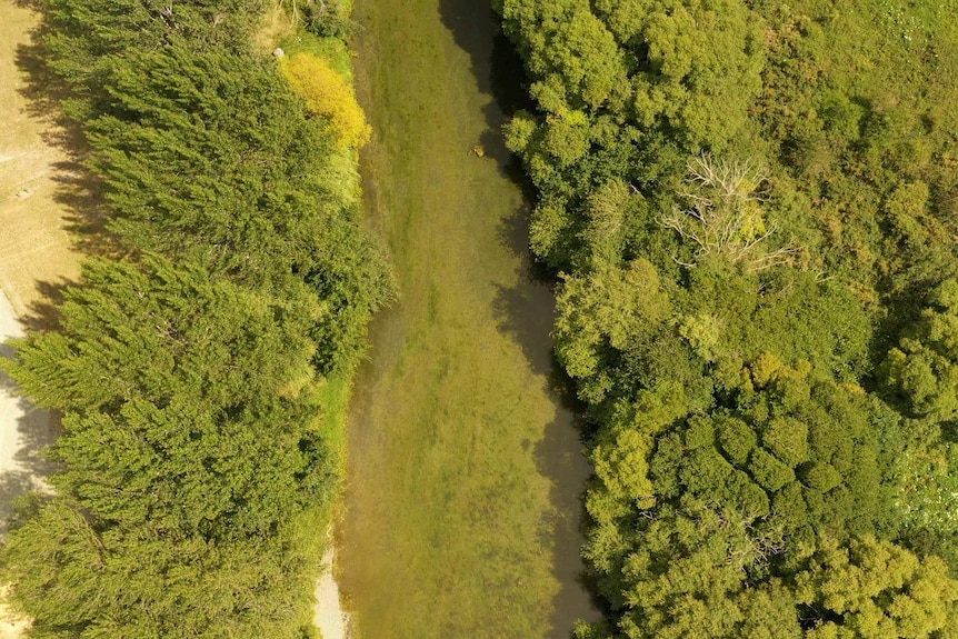 A river in Canterbury.