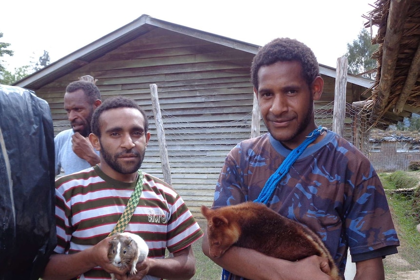 Men hold guinea pig and tree kangaroo