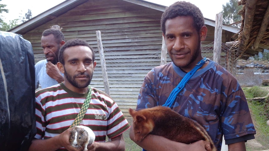 Men hold guinea pig and tree kangaroo