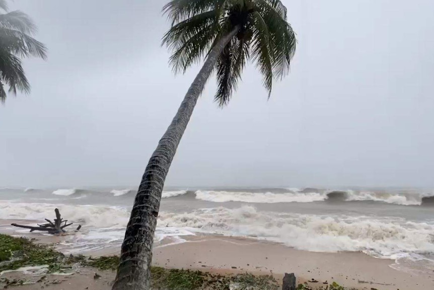 Big waves hit the shore.