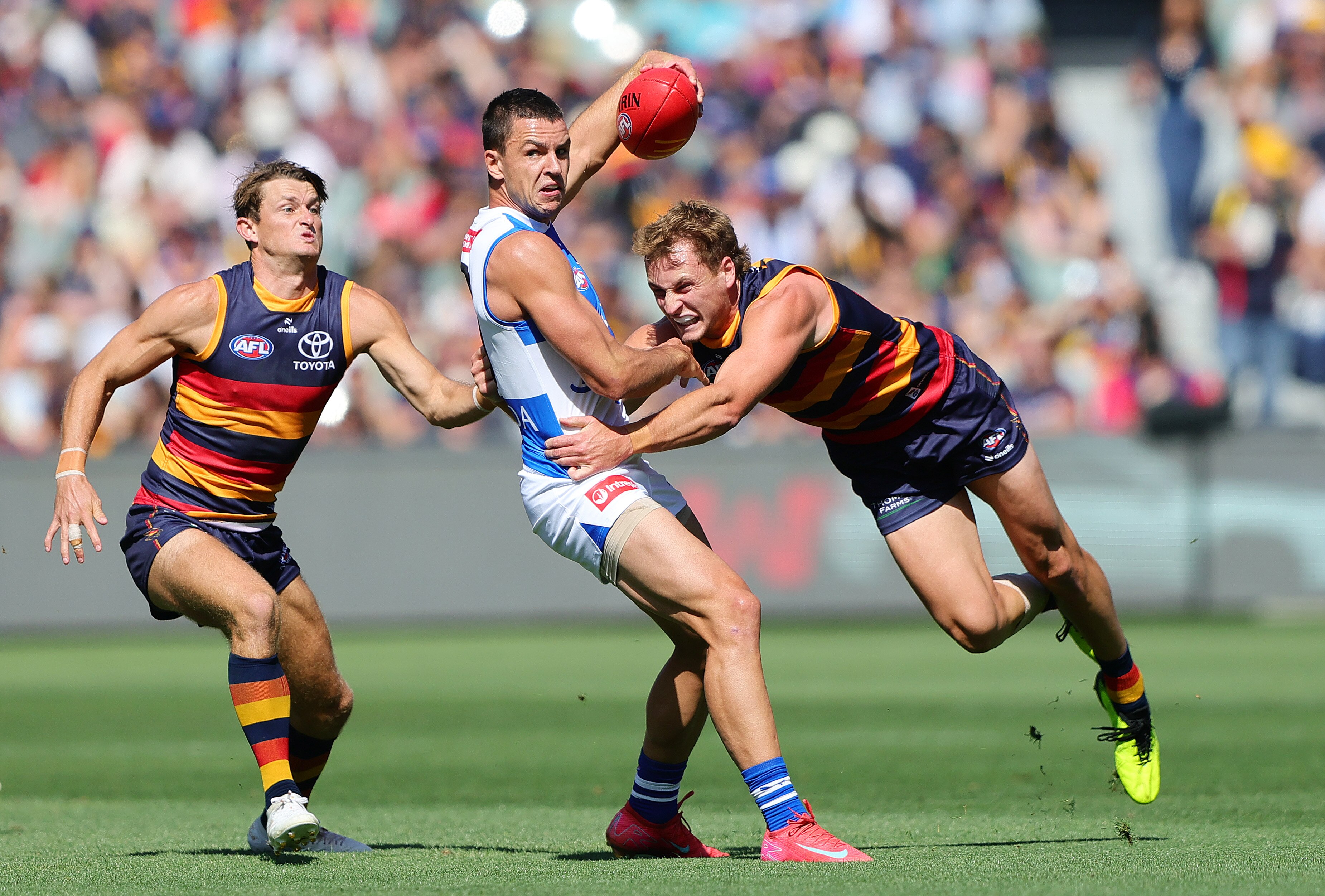 AFL Round 24 live updates: North Melbourne vs Adelaide, Richmond vs Geelong, West Coast vs Sydney — blog, scores and stats