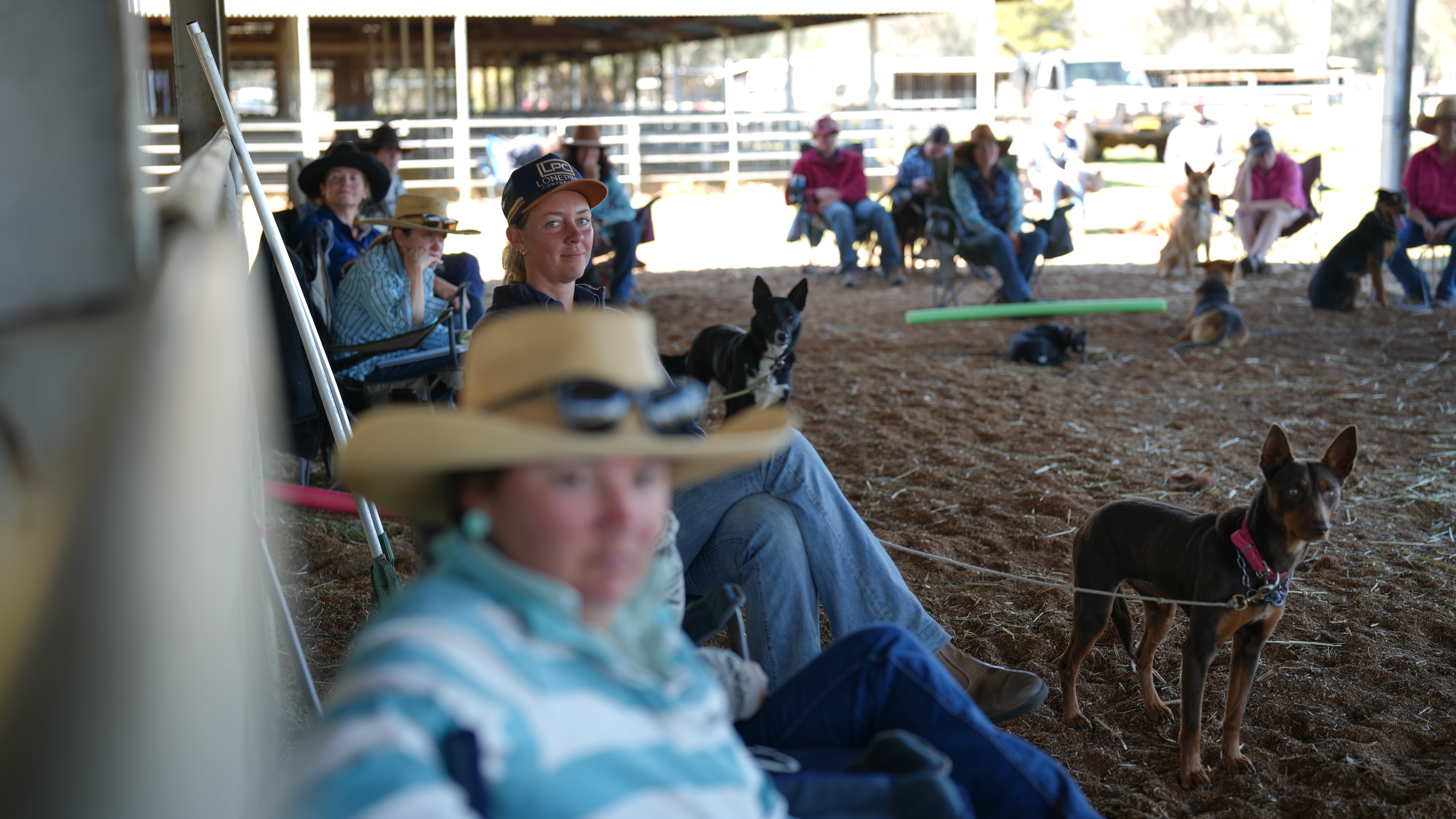 People with sheep and dogs.