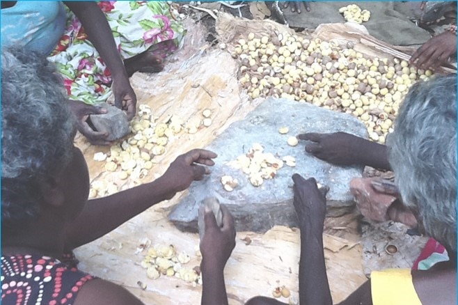 Indigenous homelands school in NT 2