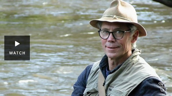 Man wearing a hat and fishing vest wading in a stream. Has Video.