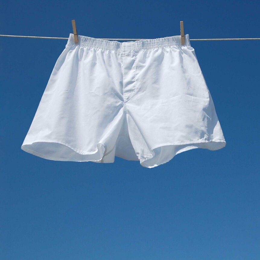 A pair of white boxer underpants hanging on a line