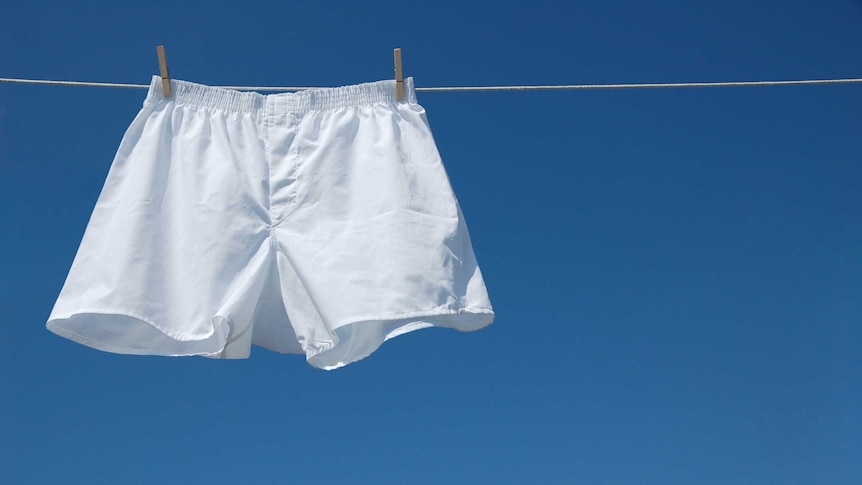 A pair of white boxer underpants hanging on a line