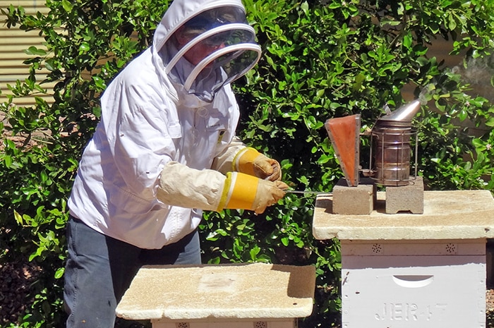 Grace Jerrett inspects one of the 30 hives she has around Central Australia.