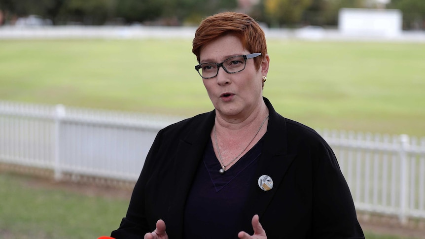 Australian Foreign Minister Marise Payne addresses a press conference in front of a cricket pitch.