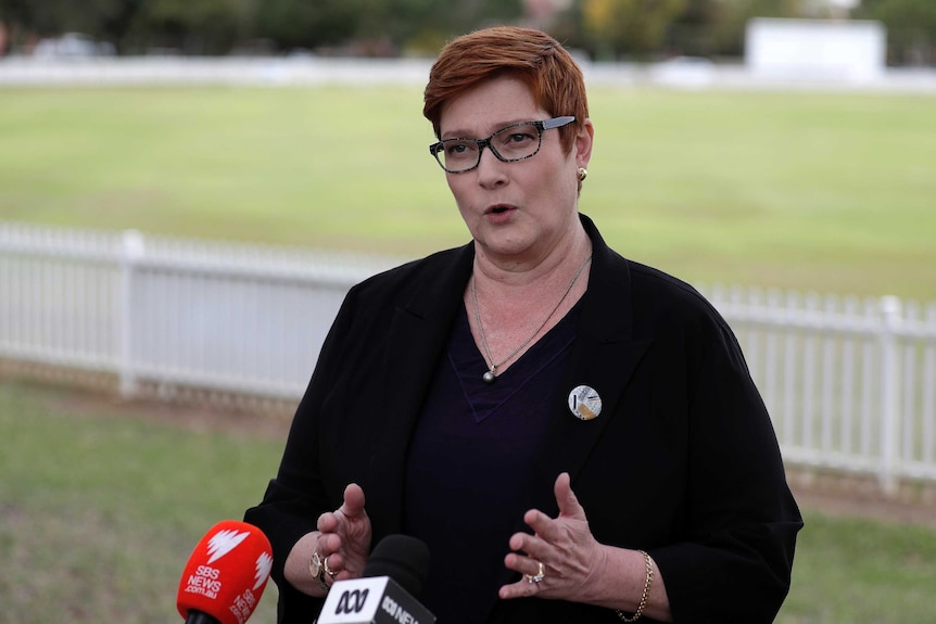 Australian Foreign Minister Marise Payne addresses a press conference in front of a cricket pitch.