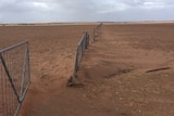 A fence on arid, brown farming land in South Australia.