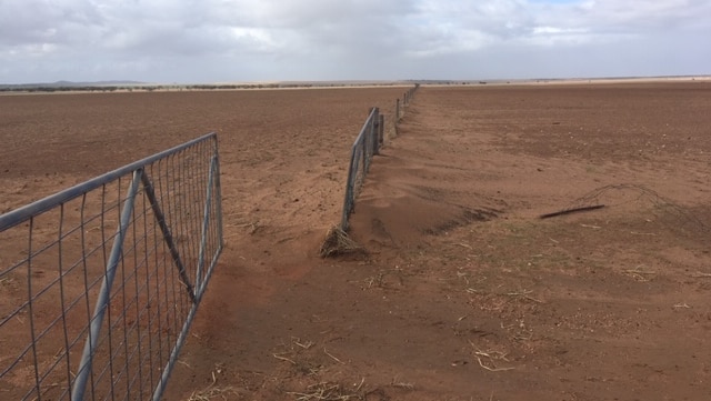 A fence on arid, brown farming land in South Australia.