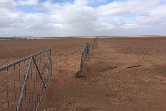 A fence on arid, brown farming land in South Australia.