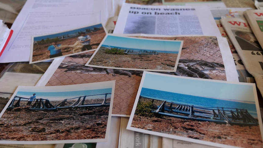 A collection of photos laid out on a table showing dead fish, and nets washed up.