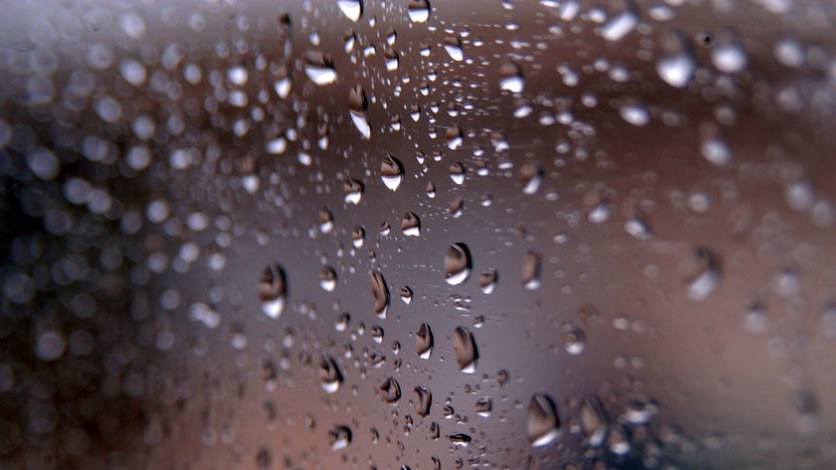Rain droplets sit on a window