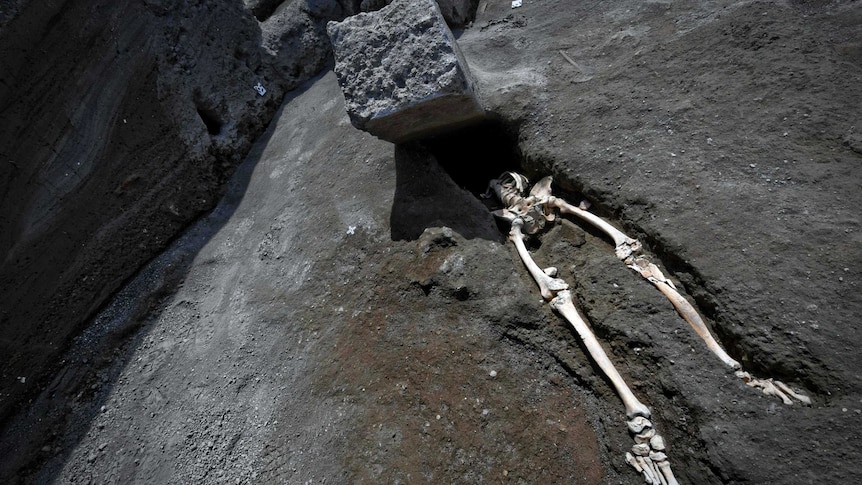 The legs of a skeleton emerge from the ground beneath a large rock believed to have crushed the victim's bust.