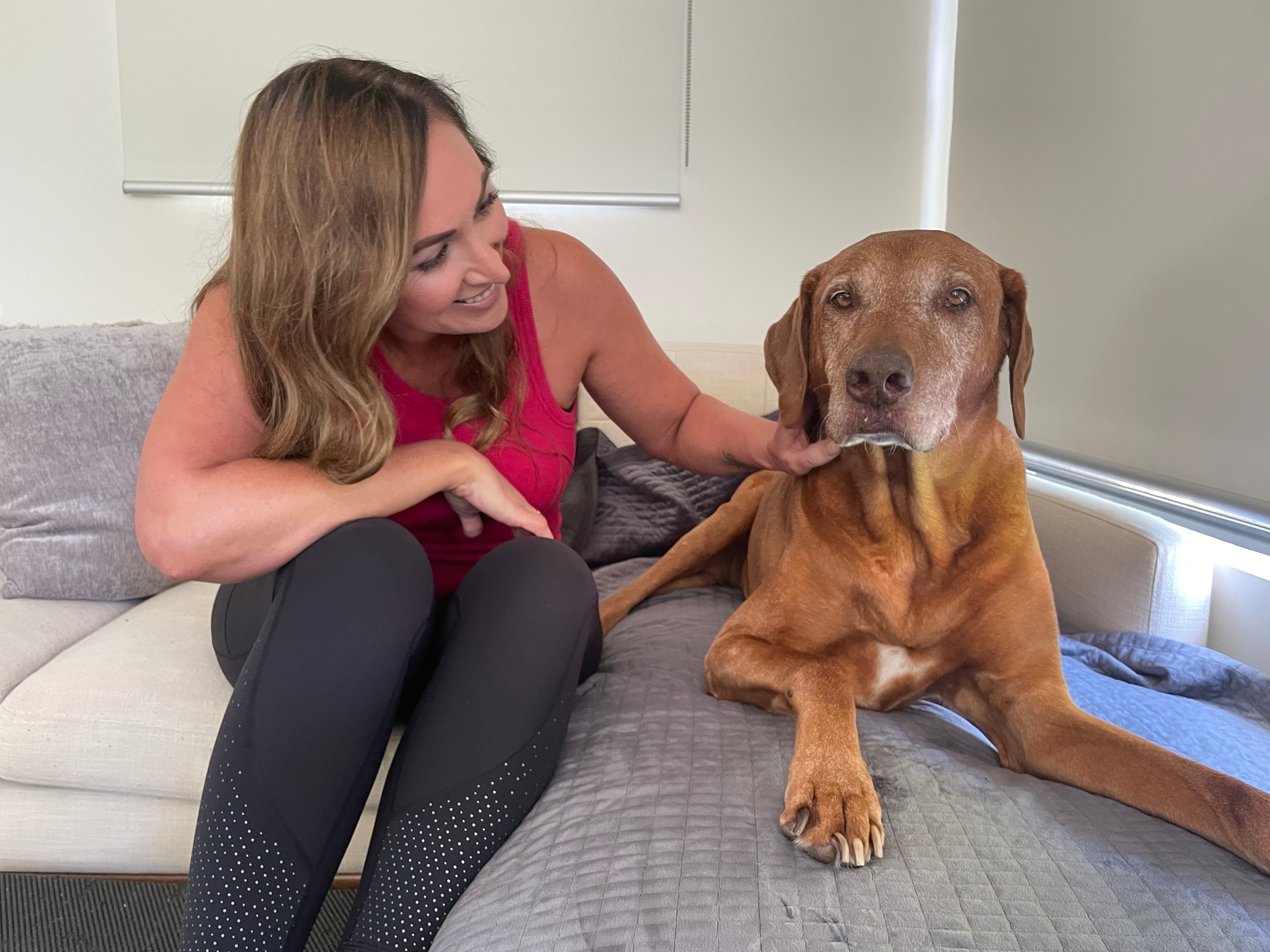 A woman pats a large dog on the couch