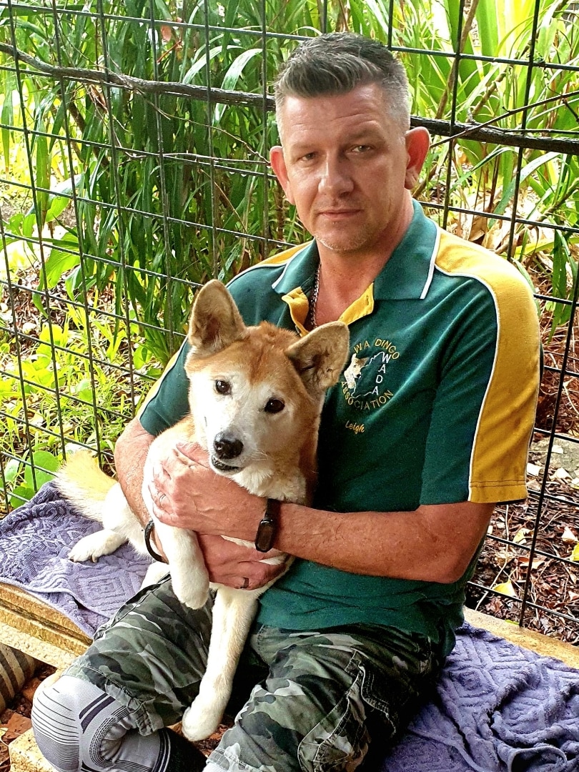 Man holding dingo on lap sitting down