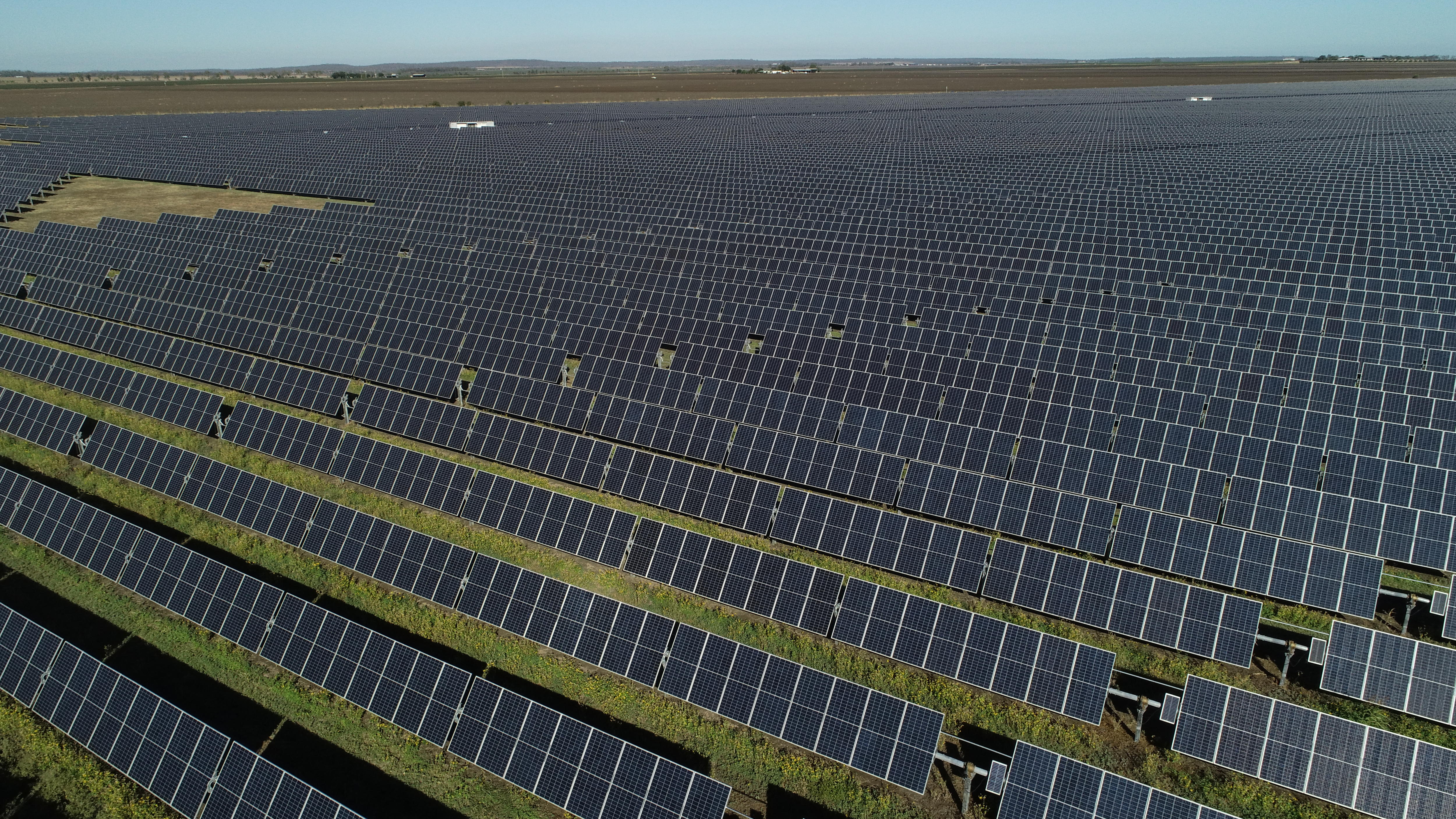 A field of solar panels in numerous rows. 