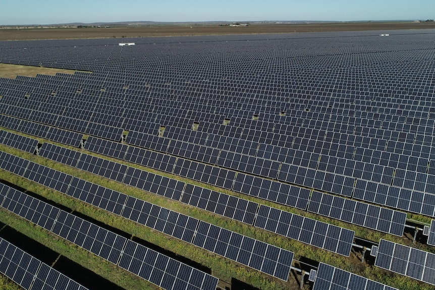 A field of solar panels in numerous rows. 