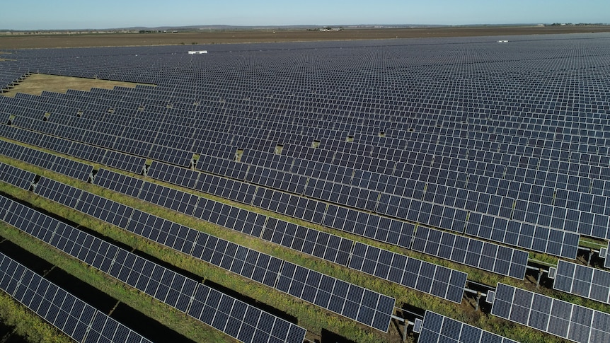 A field of solar panels in numerous rows. 