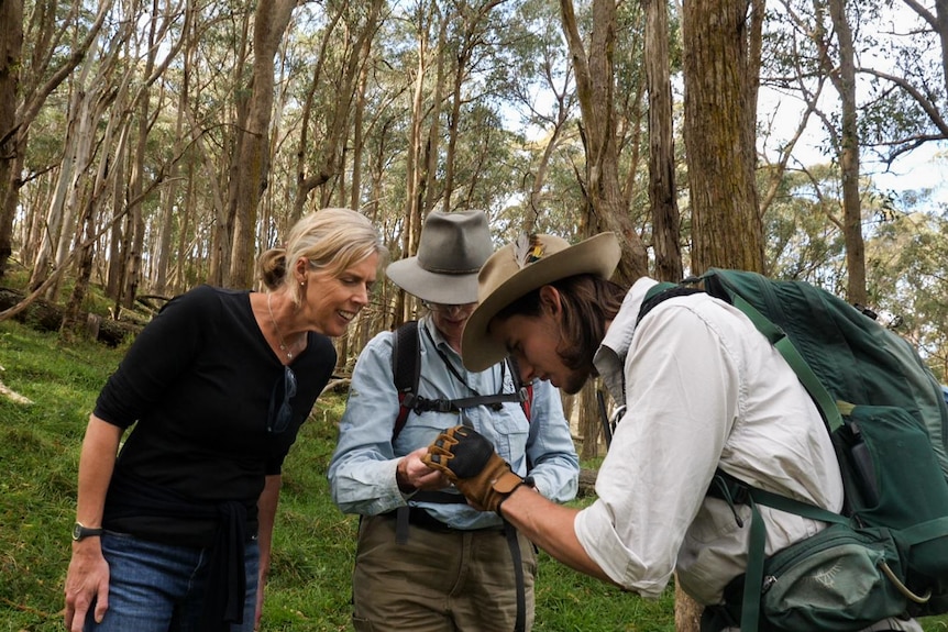 Two women and a man bend over looking at a koala poo, with gumtrees in the background.