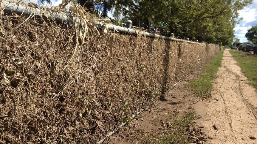 The thick mat of flood debris woven through the school's front fence