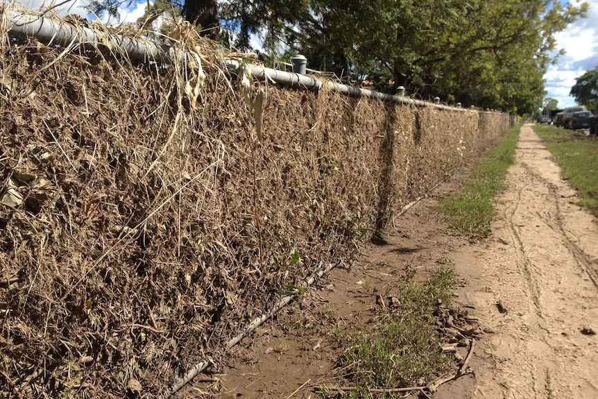 The thick mat of flood debris woven through the school's front fence