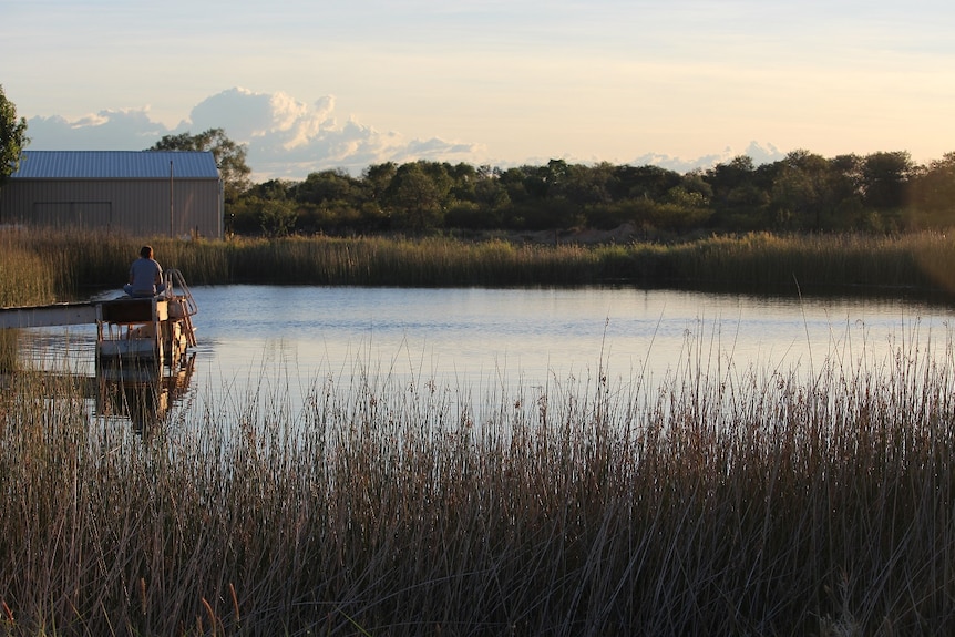 An unidentified backpacker sits on a jetty at the Barkly Homestead.