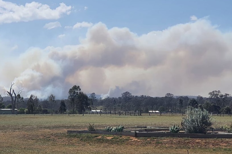 Land and trees in foreground, grey smoke in background.