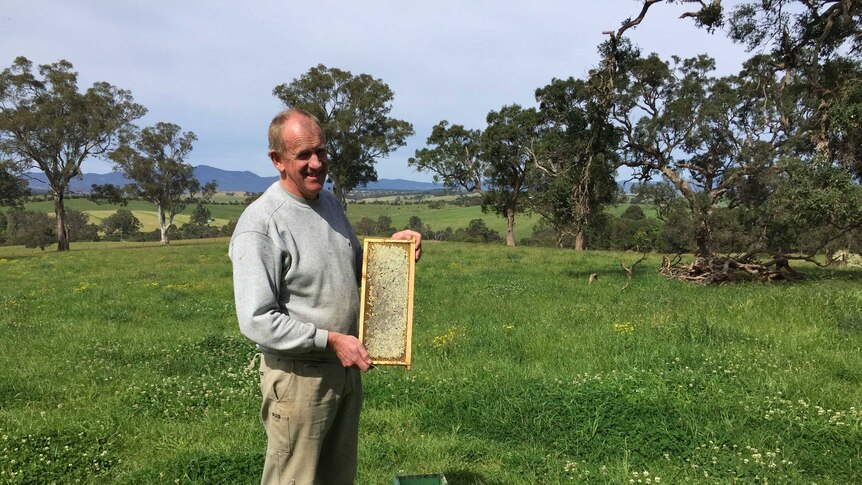Doug Somerville holding honey on his farm in Bega