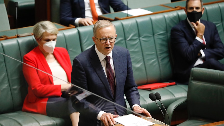 Anthony Albanese speaks in the House of Representatives