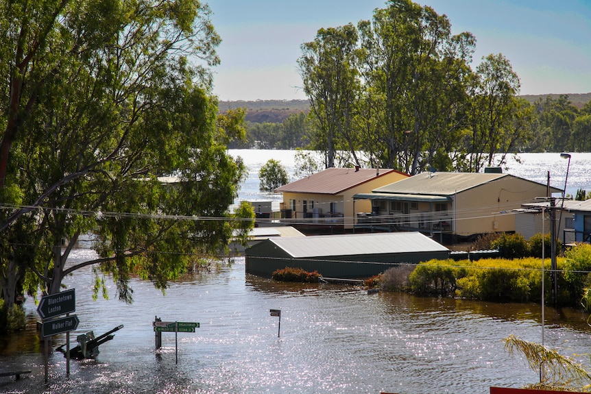 Houses surrounded by water