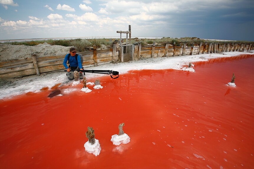 Man battling algae