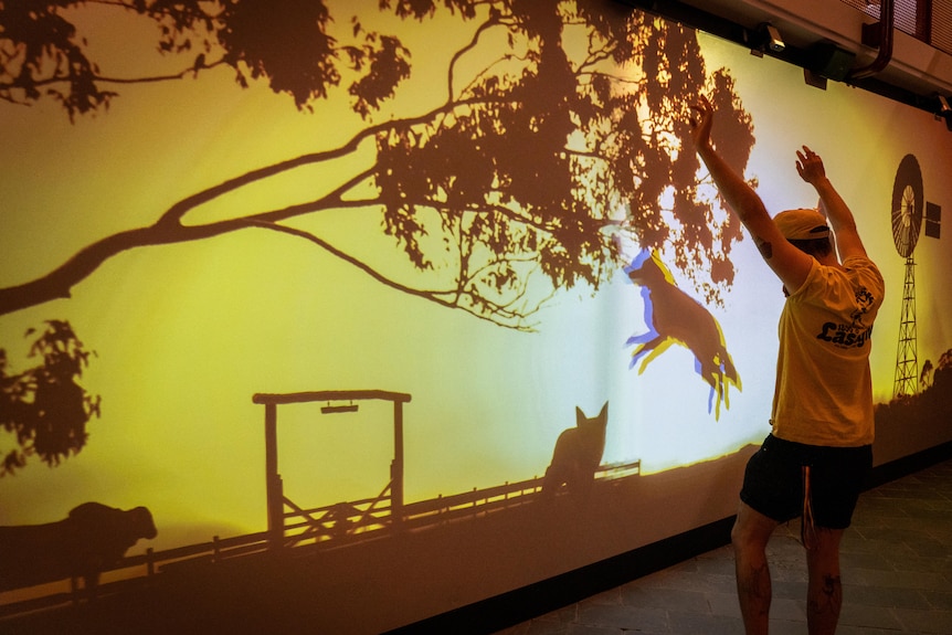 A man raises his hands above his head to get a kelpie dog on an interactive wall to jump.