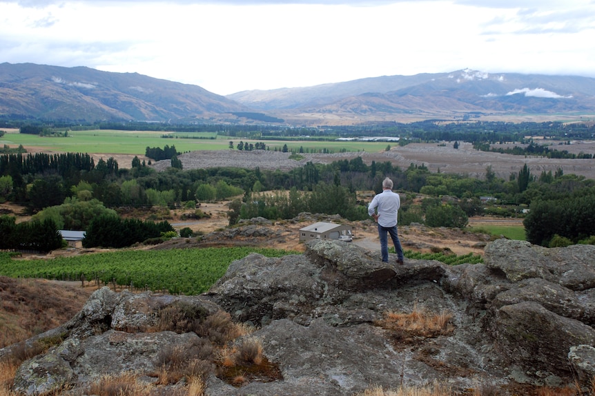 A man stands with back turned looking over a picturesque property with mountainous terrain in background