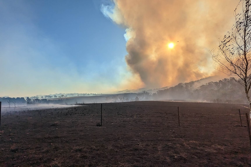 Smoke and fire at sunset.