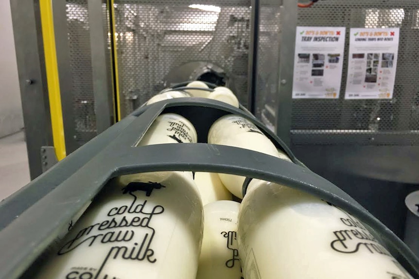 bottles labelled "cold pressed raw milk" are processed in a factory