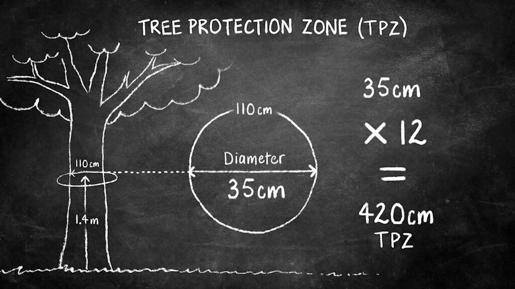 Top Tip | Tree Protection Zones - Gardening Australia