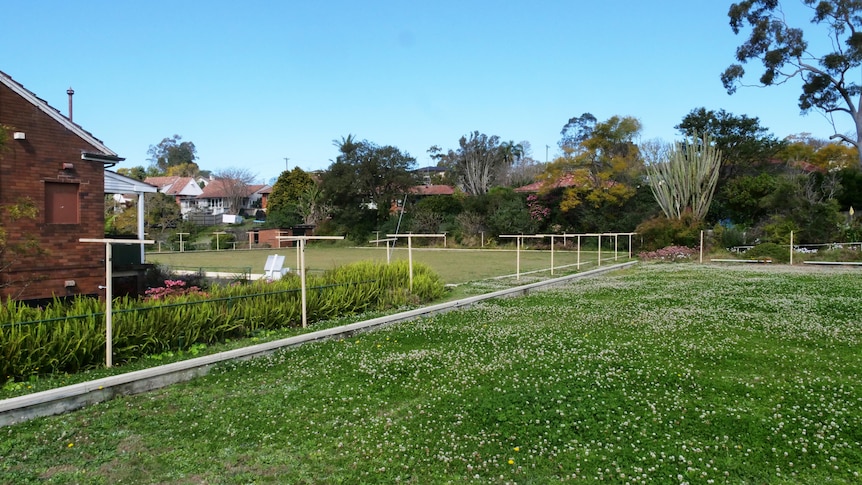 Two green lawns of a unused bowling club covered in weeds