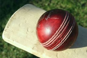 Cricket ball on a bat