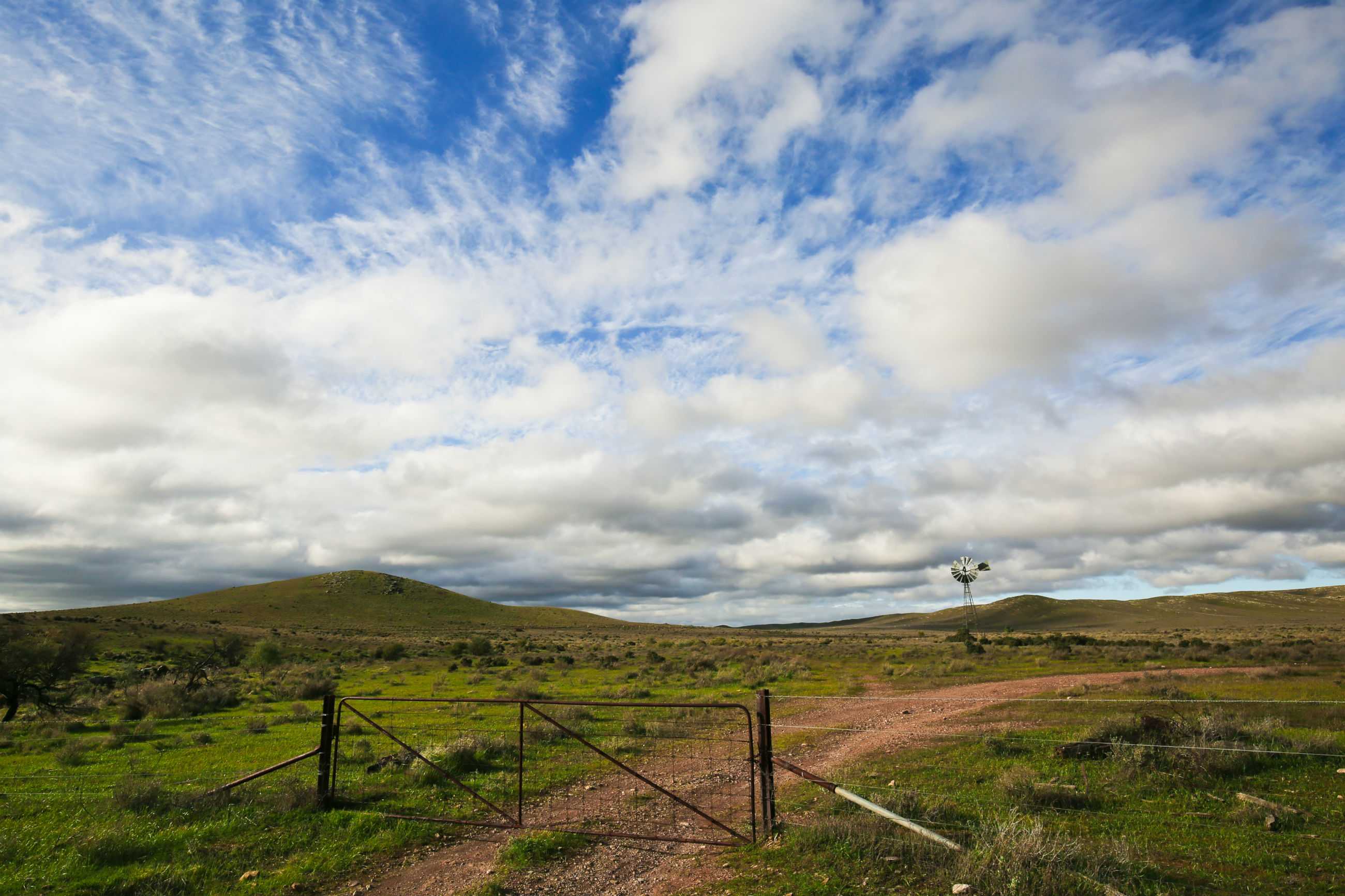 Wildlife thrives along Flinders Ranges - ABC News