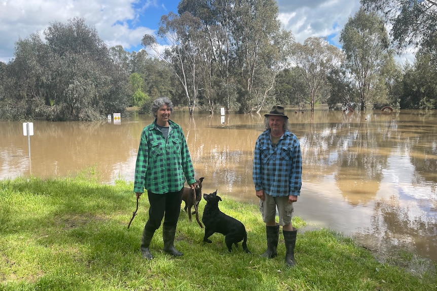 A man and woman and two dogs stand next to floodwater in a paddock with bushland around them.