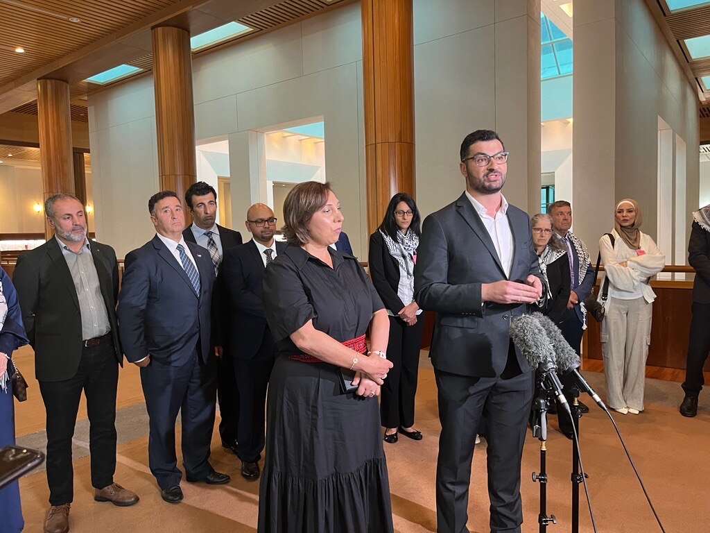 Labor Friends of Palestine call for permanent Gaza ceasefire - ABC listen