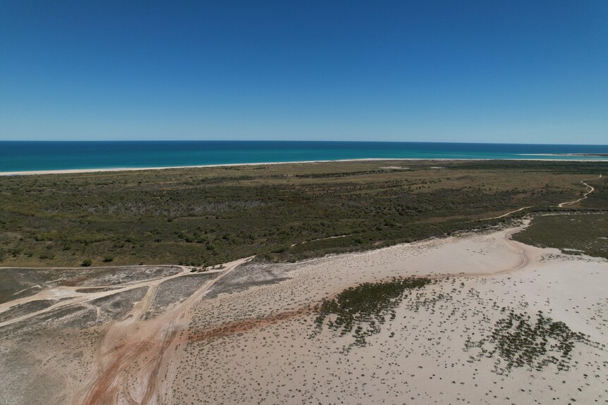 An aerial shot of a pristine coastline.