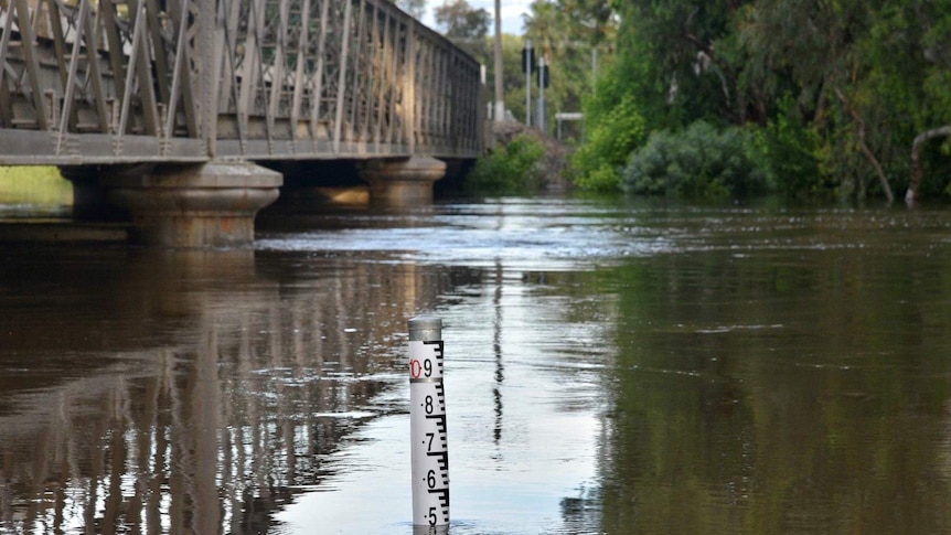 the Lachlan river in flood