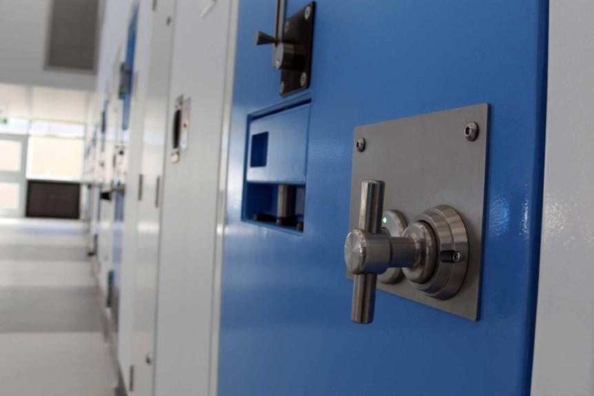 A blue cell door and a white prison hallway.